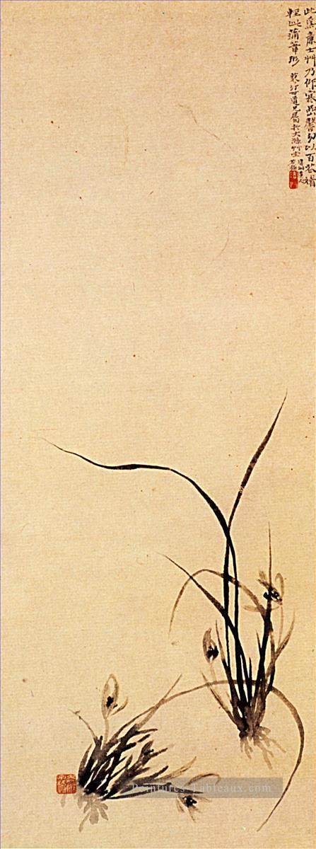 Shitao pousses d’orchidées 1707 Peintures à l'huile
